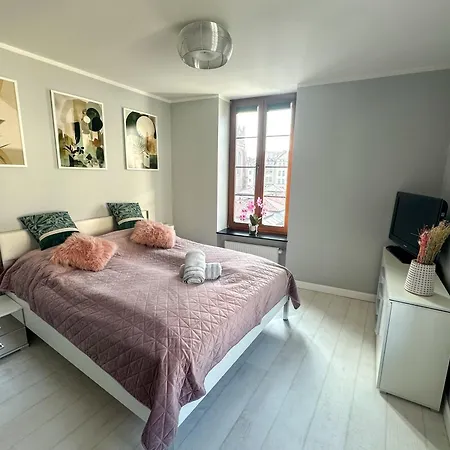 Apartment Euro Loft Old Town *